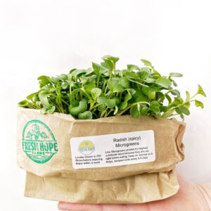 Radish microgreens package